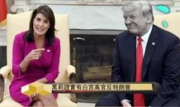 特朗普黑莉最新爆料,揭秘白宫内部权力斗争与外交争议